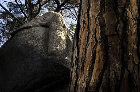 El Bosque Encantado de Orrius